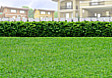Lot for Sale in Tagbilaran City, Bohol
